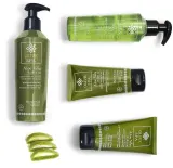 Гель для душа Olive Spa с алоэ вера и оливковым маслом, 250 мл — фото 7