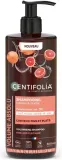 Органический шампунь Centifolia Розовый грейпфрут для объёма волос с пептидами гороха — фото 2