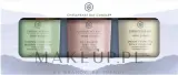 Набор ароматических свечей Chesapeake Bay Candle Wellness 3 аромата по 96 г — фото 1