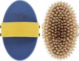 Щётка для сухого массажа тела AnMar Brush синяя с жёлтой полоской, щетина кабана средней жёсткости, 1 шт — фото 1