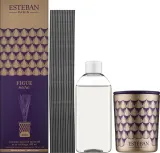 Ароматический диффузор Esteban Figue Noire Decorative инжир — фото 1