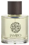 Ароматический спрей для дома Jambo Collections Exclusivo Collection Moorea, ладан, кожа и мускус, 100 мл — фото 1