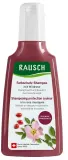 Шампунь Rausch Wildrose для защиты цвета окрашенных волос, с дикой розой, хвощом и аминокислотами, веганский, 200 мл, Германия — фото 1