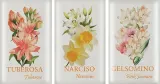 Набор мыла Nesti Dante Trio Gift Set тубероза, нарцисс и жасмин, 3 шт. по 150 г — фото 2