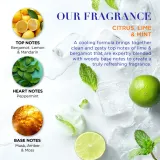 Мужской набор Baylis & Harding Citrus Lime & Mint гель для душа 500 мл и мочалка люфа — фото 5