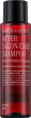 Шампунь для сильно повреждённых волос Curly Shyll After Salon Care Shampoo восстанавливающий, мини, 50 мл