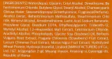 Парфюмированный кондиционер для волос, аромат инжира Free Moment Refresh Moment Perfume Treatment 02 Fig Fog, 150 мл — фото 3
