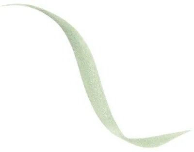 Подводка для глаз Dior Diorshow Liquid Liner жидкая, водостойкая, с фетровым аппликатором, 0,55 мл, оттенок 301 - Shimmer Green
