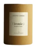 Свеча ароматическая Ambientair The Olphactory Iconic Blossom Tonka Scented Candle в стекле, из растительного воска, 200 г — фото 2