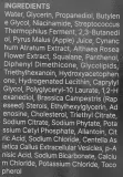 Крем-мист для лица Apothe Exosome Squal-Tox Booster с экзосомами центеллы азиатской и скваланом, 100 мл — фото 3