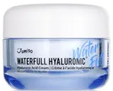 Гель-крем для лица Jumiso Waterfull Hyaluronic увлажняющий 50 мл — фото 1