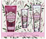 Aromas Artesanales de Antigua Aromas Artesanales De Antigua White Jasmine Bath & Body Collection (sh/gel/200 мл + b/cr/130 мл + h/cr/60 мл) - Набор для тела Aromas Artesanales White Jasmine гель для душа крем для тела и крем для рук с маслом ши и ароматом белого жасмина 200+130+60 мл — фото 1