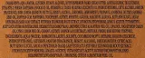 Набор Naturally European Oak Moss & Vetiver жидкое мыло для рук 300 мл и лосьон для рук 300 мл — фото 3