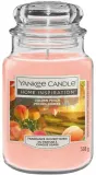 Свеча ароматическая Yankee Candle — фото 2
