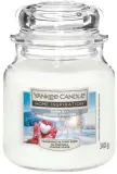 Свеча ароматическая Yankee Candle — фото 1