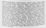 Регенерирующий шампунь для волос ECRU New York Rejuvenating Shampoo, 240 мл — фото 5