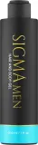 Sigma Beauty Sigma Men Hair And Body Gel - Гель для волос и тела Sigma Men Hair And Body Gel универсальный мужской, 200 мл — фото 1