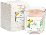 Santini Cosmetic Santini Cosmetic Luxury Candle - Свеча ароматическая Santini — фото 1