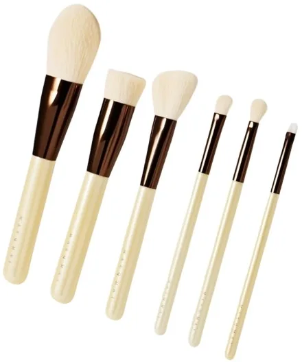 Набор кистей для макияжа в футляре Masqmai Makeup Brush Set из 6 предметов