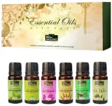 Набор эфирных масел Indus Valley Bio Organic чайное дерево мята эвкалипт и розмарин 6 шт по 10 мл — фото 1