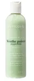 Шампунь для волос Phytodess Peppermint Shampoo, с экстрактом мяты перечной, детокс, 250 мл — фото 1