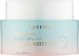 Крем-гель для лица Aperire Youthful Frozen Water Cream увлажняющий, охлаждающий, 45 мл — фото 1