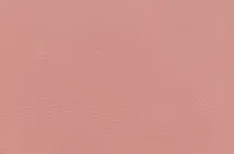 Румяна для лица A'pieu Juicy-Pang Pastel Blusher, оттенок Rd02 - Cinnamon Cotton