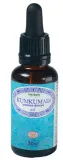 Масло для лица Herbals Botanic Kumkumadi с шафраном и сандалом аюрведическое 30 мл — фото 1