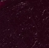 Помада для губ Rougj+ Moisturizing с эффектом блеска, оттенок 5 - Burgundy — фото 1