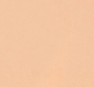 Тональный флюид MTJ Cosmetics Revitalizing Foundation восстанавливающий сатиновый, 30 мл, оттенок N10R