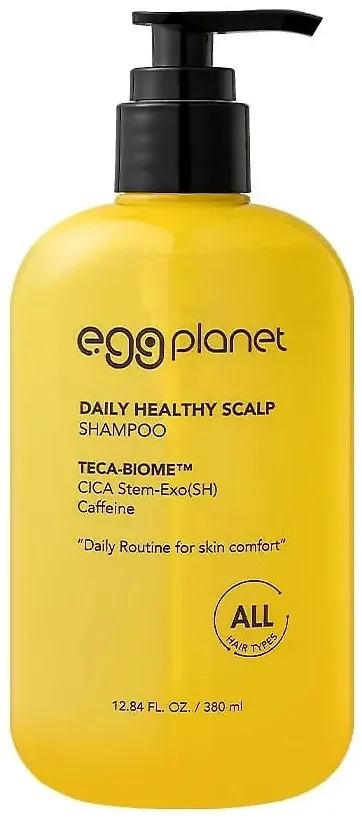 Шампунь для волос и кожи головы Daeng Gi Meo Ri Egg Planet Daily Healty Scalp Shampoo для ежедневного применения