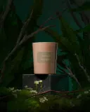 Парфюмированная свеча Frassai Divina Foresta Perfumed Candle, 180 г — фото 2