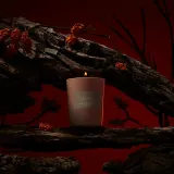 Парфюмированная свеча Frassai Fruto Prohibido Perfumed Candle, 180 г — фото 2