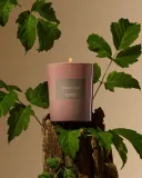Парфюмированная свеча Frassai El Bosque Perfumed Candle, 180 г — фото 2