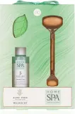 Набор Accentra Home SPA Aloe Vera Set: гель для душа, шипучее средство для ванны, массажёр — фото 1