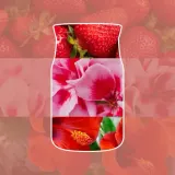 Свеча ароматическая Yankee Candle Cliffside Sunrise в банке, 1 фитиль, 110 г — фото 2