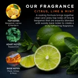 Baylis & Harding Baylis & Harding Citrus, Lime & Mint Men's Body Care Duo (sh/gel/150 мл + f/wash/130 мл) - Мужской набор Baylis Harding Citrus, Lime, Mint Men's Body Care Duo: гель для душа, 150 мл, гель для умывания, 130 мл — фото 6
