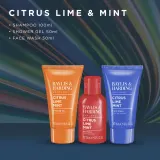 Baylis & Harding Baylis & Harding Citrus, Lime & Mint Men's Travel Bag (sh/gel/50 мл + shmp/100 мл + f/wash/50 мл) - Мужской дорожный набор Baylis Harding Citrus, Lime, Mint Men's Travel Bag: гель для душа, шампунь, средство для умывания — фото 4