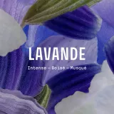 Panier des Sens Iconic Lavender жидкое марсельское мыло 500 мл, с ароматом лаванды, Liquid Marseille Soap — фото 4