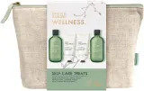 Baylis & Harding Baylis & Harding Wellness Self-Care Treats Kit * - Baylis and Harding Wellness Self-Care Treats Kit набор для тела: гель для ванны и душа 300 мл, крем для душа 300 мл, лосьон 130 мл, крем для рук 130 мл, с имбирём и лаймом — фото 1