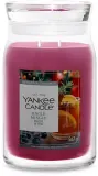 Свеча ароматическая Yankee Candle Signature Jingle Mingle в банке, 2 фитиля, 368 г и, 368 г / 567 г — фото 2