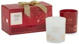 Подарочный набор свечей Yankee Candle Two Tumbler Gift Set, 2 свечи, 2 x 213 г — фото 1