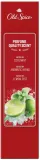 Набор для тела Old Spice Cold Spice: гель для душа 250 мл и дезодорант 70 мл — фото 4