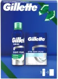 Мужской набор Gillette Series: пена для бритья, 250 мл, лосьон после бритья, 100 мл — фото 2
