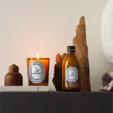 Ароматическая свеча Diptyque Odor Removing, 190 г — фото 4