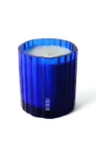 Ароматическая свеча Bibbi Parfum Wolf Mother, 310 г — фото 2