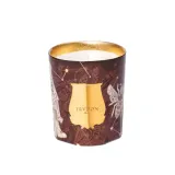 Ароматическая свеча Trudon Libra — фото 1
