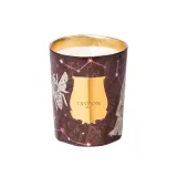 Ароматическая свеча Trudon Libra — фото 2