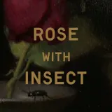 Ароматическая свеча Perfumer H Rose With Insects, 175 г — фото 4