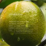 Кондиционер для волос Zenology Vitalizing Citrus Nobilis, 500 мл — фото 2